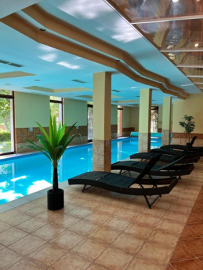 Dorina wellness